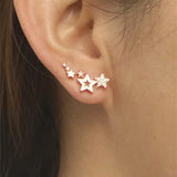 Earrings Stylish Star - ProDeco