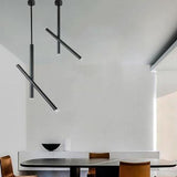 Pendant Lights Adjustable Arm ExS - ProDeco